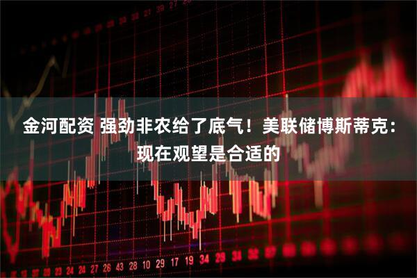 金河配资 强劲非农给了底气！美联储博斯蒂克：现在观望是合适的