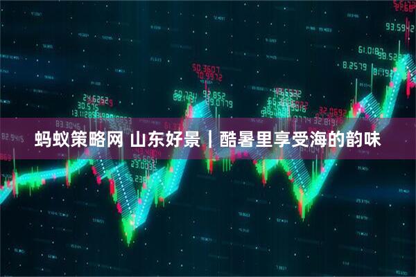 蚂蚁策略网 山东好景｜酷暑里享受海的韵味